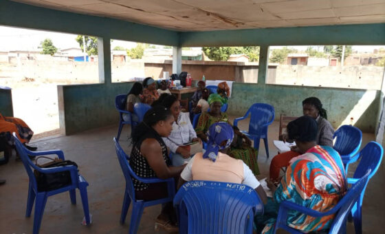 Atelier de co-création d’un label pour le beurre de karité produit par la coopérative CHIGATA de  Natio-Kobadara